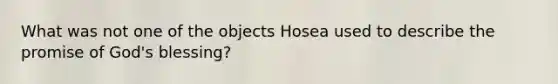 What was not one of the objects Hosea used to describe the promise of God's blessing?