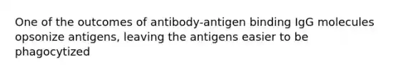 One of the outcomes of antibody-antigen binding IgG molecules opsonize antigens, leaving the antigens easier to be phagocytized