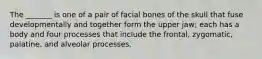 The _______ is one of a pair of facial bones of the skull that fuse developmentally and together form the upper jaw; each has a body and four processes that include the frontal, zygomatic, palatine, and alveolar processes.