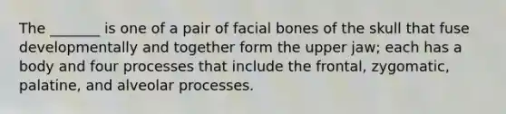 The _______ is one of a pair of facial bones of the skull that fuse developmentally and together form the upper jaw; each has a body and four processes that include the frontal, zygomatic, palatine, and alveolar processes.