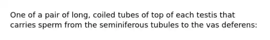 One of a pair of long, coiled tubes of top of each testis that carries sperm from the seminiferous tubules to the vas deferens: