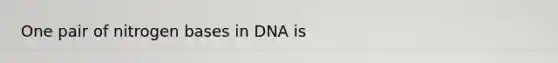 One pair of nitrogen bases in DNA is