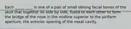 Each _____ ____ is one of a pair of small oblong facial bones of the skull that together lie side by side, fused to each other to form the bridge of the nose in the midline superior to the piriform aperture, the anterior opening of the nasal cavity.