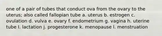 one of a pair of tubes that conduct ova from the ovary to the uterus; also called fallopian tube a. uterus b. estrogen c. ovulation d. vulva e. ovary f. endometrium g. vagina h. uterine tube I. lactation j. progesterone k. menopause l. menstruation