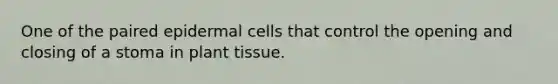 One of the paired epidermal cells that control the opening and closing of a stoma in plant tissue.