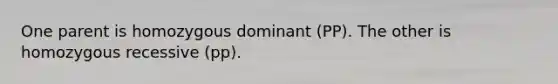 One parent is homozygous dominant (PP). The other is homozygous recessive (pp).