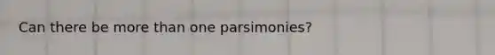 Can there be more than one parsimonies?