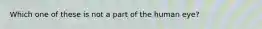 Which one of these is not a part of the human eye?