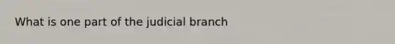 What is one part of the judicial branch