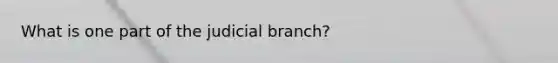 What is one part of the judicial branch?