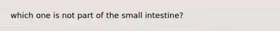 which one is not part of the small intestine?