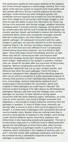 One particularly significant and unique attribute of the adaptive arm of the immune response is immunologic memory. This is the ability of the immune system to respond much more swiftly and with greater efficiency during a second exposure to the same pathogen. Unlike almost any other biological system, the vertebrate immune response has evolved not only the ability to learn from (adapt to) its encounters with foreign antigen in real time but also the ability to store this information for future use. During a first encounter with foreign antigen, adaptive immunity undergoes what is termed a primary response, during which the key lymphocytes that will be used to eradicate the pathogen are clonally selected, honed, and enlisted to resolve the infection. As mentioned above, these cells incorporate messages received from the innate players into their tailored response to the specific pathogen. All subsequent encounters with the same antigen or pathogen are typically referred to as the secondary response (Figure 1-8). During a secondary response, memory cells, kin of the final and most efficient B and T lymphocytes trained during the primary response, are re-enlisted to fight again. These cells begin almost immediately and pick up right where they left off, continuing to learn and improve their eradication strategy during each subsequent encounter with the same antigen. Depending on the antigen in question, memory cells can remain for decades after the conclusion of the primary response. Memory lymphocytes provide the means for subsequent responses that are so rapid, antigen-specific, and effective that when the same pathogen infects the body a second or subsequent time, dispatch of the offending organism often occurs without symptoms. It is the remarkable property of memory that prevents us from catching many diseases a second time. Immunologic memory harbored by residual B and T lymphocytes is the foundation for vaccination, which uses crippled or killed pathogens as a safe way to "educate" the immune system to prepare it for later attacks by life-threatening pathogens. Memory cells then save the strategy used, not the pathogen (or vaccine), for later reference during repeat encounters with the same infectious agent. Sometimes, as is the case for some vaccines, one round of antigen encounter and adaptation is not enough to impart protective immunity from the pathogen in question. In many of these cases, immunity can develop after a second or even a third round of exposure to an antigen. It is these sorts of pathogens that necessitate the use of vaccine booster shots. Booster shots are nothing <a href='https://www.questionai.com/knowledge/keWHlEPx42-more-than' class='anchor-knowledge'>more than</a> a second or third episode of exposure to the antigen, each driving a new round of adaptive events (secondary response) and refinements in the responding lymphocyte population. The aim is to hone these responses to a sufficient level to afford protection against the real pathogen at some future date. //Key Concept: -The first exposure to a pathogen results in a primary immune response, which culminates in the creation of memory cells, or B and T cells that remain after pathogen eradication and that can be activated during a subsequent exposure to that same pathogen (a secondary response).