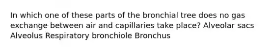 In which one of these parts of the bronchial tree does no gas exchange between air and capillaries take place? Alveolar sacs Alveolus Respiratory bronchiole Bronchus