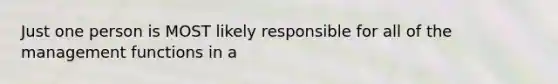 Just one person is MOST likely responsible for all of the management functions in a