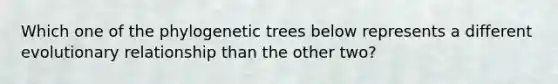 Which one of the phylogenetic trees below represents a different evolutionary relationship than the other two?