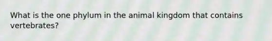 What is the one phylum in the animal kingdom that contains vertebrates?