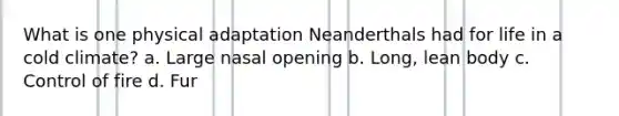 What is one physical adaptation Neanderthals had for life in a cold climate? a. Large nasal opening b. Long, lean body c. Control of fire d. Fur