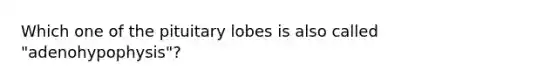 Which one of the pituitary lobes is also called "adenohypophysis"?