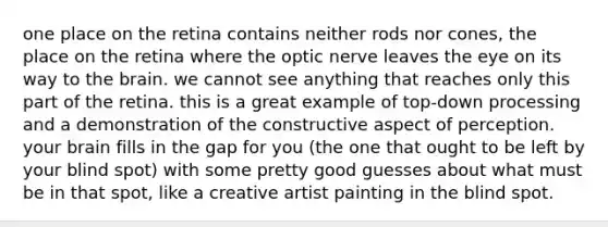 one place on the retina contains neither rods nor cones, the place on the retina where the optic nerve leaves the eye on its way to the brain. we cannot see anything that reaches only this part of the retina. this is a great example of top-down processing and a demonstration of the constructive aspect of perception. your brain fills in the gap for you (the one that ought to be left by your blind spot) with some pretty good guesses about what must be in that spot, like a creative artist painting in the blind spot.