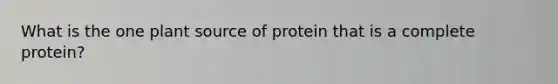 What is the one plant source of protein that is a complete protein?