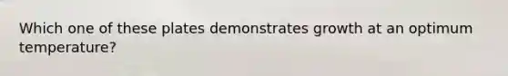 Which one of these plates demonstrates growth at an optimum temperature?
