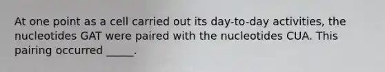 At one point as a cell carried out its day-to-day activities, the nucleotides GAT were paired with the nucleotides CUA. This pairing occurred _____.