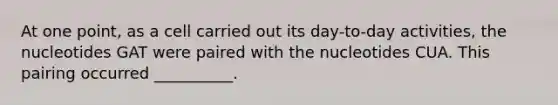 At one point, as a cell carried out its day-to-day activities, the nucleotides GAT were paired with the nucleotides CUA. This pairing occurred __________.