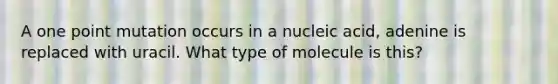 A one point mutation occurs in a nucleic acid, adenine is replaced with uracil. What type of molecule is this?