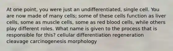 At one point, you were just an undifferentiated, single cell. You are now made of many cells; some of these cells function as liver cells, some as muscle cells, some as red blood cells, while others play different roles. What name is given to the process that is responsible for this? cellular differentiation regeneration cleavage carcinogenesis morphology