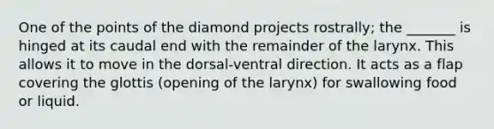 One of the points of the diamond projects rostrally; the _______ is hinged at its caudal end with the remainder of the larynx. This allows it to move in the dorsal-ventral direction. It acts as a flap covering the glottis (opening of the larynx) for swallowing food or liquid.