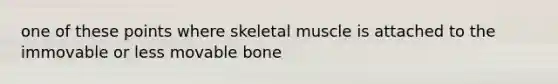 one of these points where skeletal muscle is attached to the immovable or less movable bone