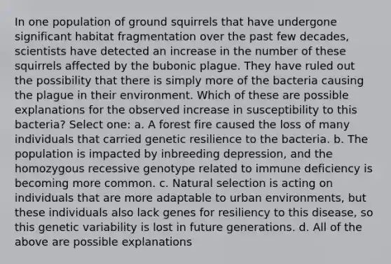 In one population of ground squirrels that have undergone significant habitat fragmentation over the past few decades, scientists have detected an increase in the number of these squirrels affected by the bubonic plague. They have ruled out the possibility that there is simply more of the bacteria causing the plague in their environment. Which of these are possible explanations for the observed increase in susceptibility to this bacteria? Select one: a. A forest fire caused the loss of many individuals that carried genetic resilience to the bacteria. b. The population is impacted by inbreeding depression, and the homozygous recessive genotype related to immune deficiency is becoming more common. c. Natural selection is acting on individuals that are more adaptable to urban environments, but these individuals also lack genes for resiliency to this disease, so this genetic variability is lost in future generations. d. All of the above are possible explanations