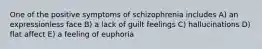 One of the positive symptoms of schizophrenia includes A) an expressionless face B) a lack of guilt feelings C) hallucinations D) flat affect E) a feeling of euphoria