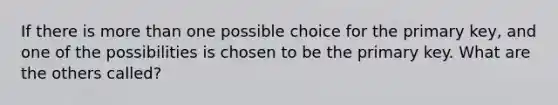 If there is more than one possible choice for the primary key, and one of the possibilities is chosen to be the primary key. What are the others called?