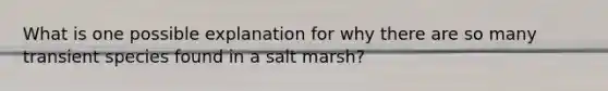 What is one possible explanation for why there are so many transient species found in a salt marsh?