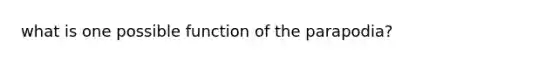 what is one possible function of the parapodia?