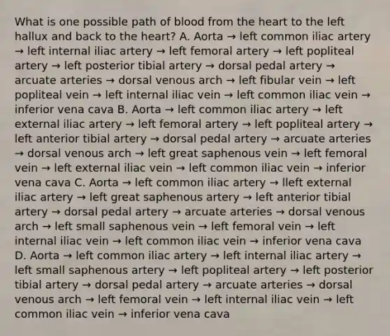 What is one possible path of blood from the heart to the left hallux and back to the heart? A. Aorta → left common iliac artery → left internal iliac artery → left femoral artery → left popliteal artery → left posterior tibial artery → dorsal pedal artery → arcuate arteries → dorsal venous arch → left fibular vein → left popliteal vein → left internal iliac vein → left common iliac vein → inferior vena cava B. Aorta → left common iliac artery → left external iliac artery → left femoral artery → left popliteal artery → left anterior tibial artery → dorsal pedal artery → arcuate arteries → dorsal venous arch → left great saphenous vein → left femoral vein → left external iliac vein → left common iliac vein → inferior vena cava C. Aorta → left common iliac artery → lleft external iliac artery → left great saphenous artery → left anterior tibial artery → dorsal pedal artery → arcuate arteries → dorsal venous arch → left small saphenous vein → left femoral vein → left internal iliac vein → left common iliac vein → inferior vena cava D. Aorta → left common iliac artery → left internal iliac artery → left small saphenous artery → left popliteal artery → left posterior tibial artery → dorsal pedal artery → arcuate arteries → dorsal venous arch → left femoral vein → left internal iliac vein → left common iliac vein → inferior vena cava