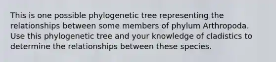 This is one possible phylogenetic tree representing the relationships between some members of phylum Arthropoda. Use this phylogenetic tree and your knowledge of cladistics to determine the relationships between these species.