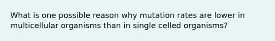 What is one possible reason why mutation rates are lower in multicellular organisms than in single celled organisms?