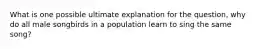 What is one possible ultimate explanation for the question, why do all male songbirds in a population learn to sing the same song?