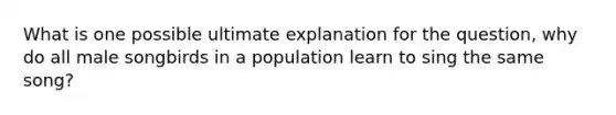 What is one possible ultimate explanation for the question, why do all male songbirds in a population learn to sing the same song?