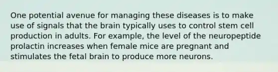 One potential avenue for managing these diseases is to make use of signals that the brain typically uses to control stem cell production in adults. For example, the level of the neuropeptide prolactin increases when female mice are pregnant and stimulates the fetal brain to produce more neurons.