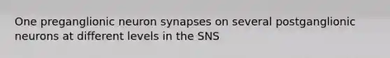 One preganglionic neuron synapses on several postganglionic neurons at different levels in the SNS