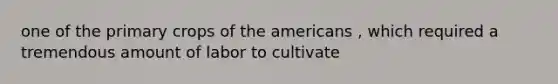 one of the primary crops of the americans , which required a tremendous amount of labor to cultivate