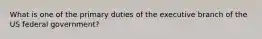 What is one of the primary duties of the executive branch of the US federal government?