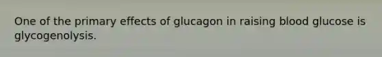 One of the primary effects of glucagon in raising blood glucose is glycogenolysis.