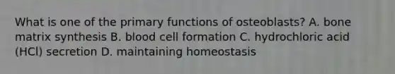 What is one of the primary functions of osteoblasts? A. bone matrix synthesis B. blood cell formation C. hydrochloric acid (HCl) secretion D. maintaining homeostasis