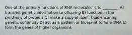 One of the primary functions of RNA molecules is to ________. A) transmit genetic information to offspring B) function in the synthesis of proteins C) make a copy of itself, thus ensuring genetic continuity D) act as a pattern or blueprint to form DNA E) form the genes of higher organisms