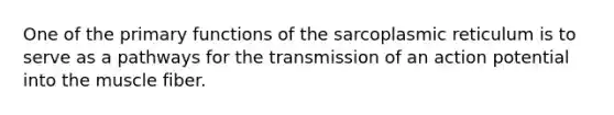 One of the primary functions of the sarcoplasmic reticulum is to serve as a pathways for the transmission of an action potential into the muscle fiber.