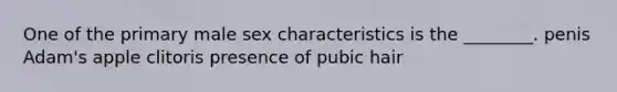 One of the primary male sex characteristics is the ________. penis Adam's apple clitoris presence of pubic hair